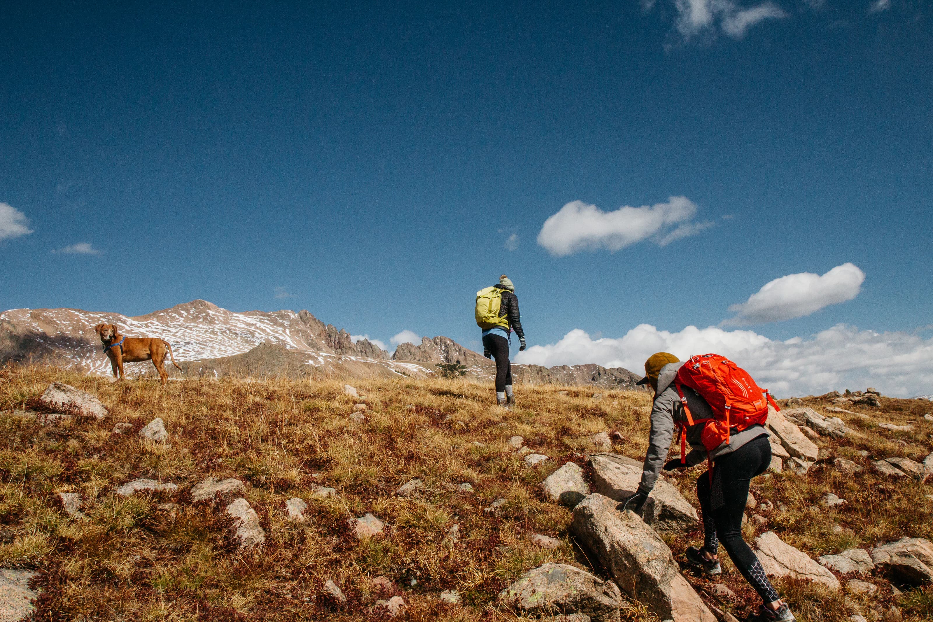 Two hikers with orange and yellow packs climbing a sunny alpine slope